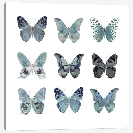 Butterfly Study In Blue II Canvas Print #JUL24} by Julia Bosco Canvas Wall Art