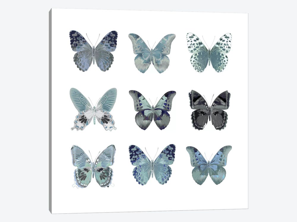 Butterfly Study In Blue II by Julia Bosco 1-piece Canvas Print