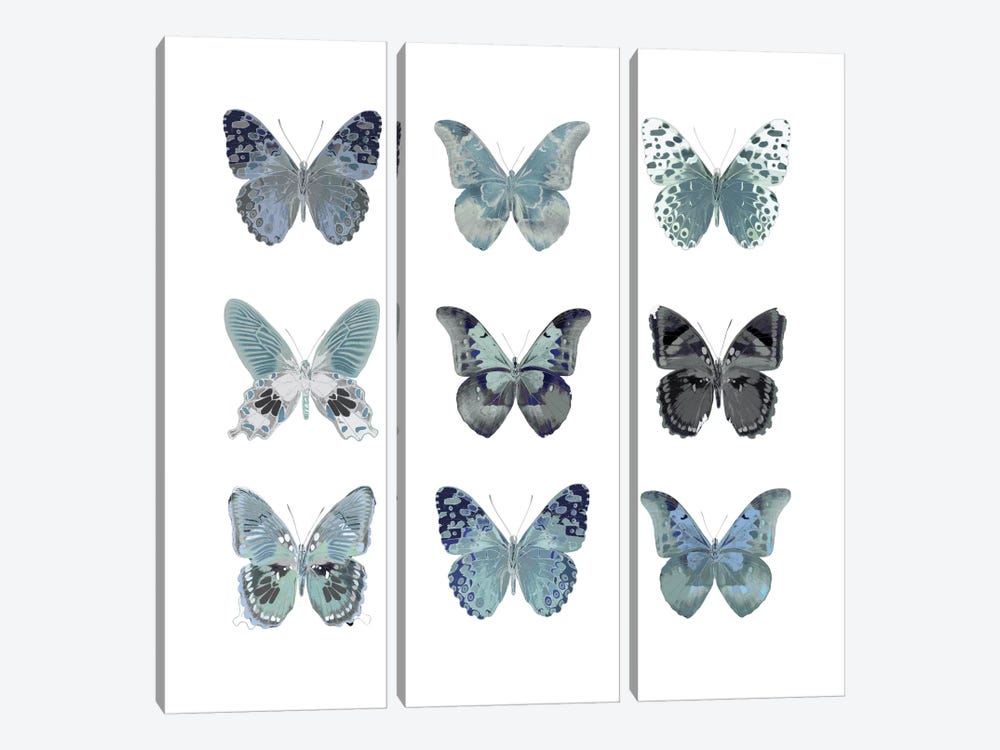 Butterfly Study In Blue II by Julia Bosco 3-piece Canvas Print