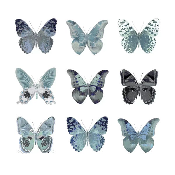 Animal Patterns: Butterfly Study In Blue II by Julia Bosco