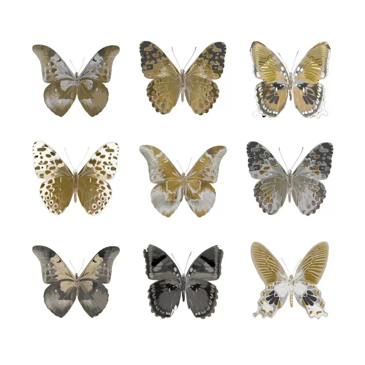 Butterfly Study In Gold I