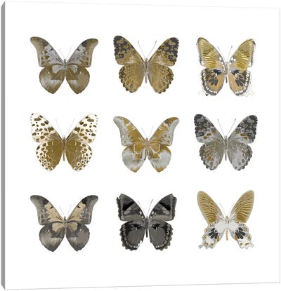 Butterfly Study In Gold I Canvas Art Print - Animal Patterns