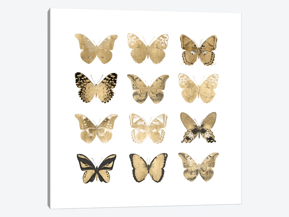 Butterfly Study In Gold II by Julia Bosco 1-piece Art Print