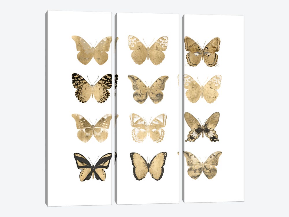 Butterfly Study In Gold II by Julia Bosco 3-piece Canvas Art Print