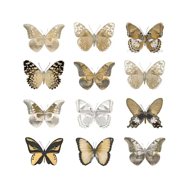Butterfly Study In Gold III by Julia Bosco wall art
