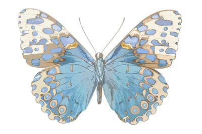 Butterfly With Indigo by Julia Bosco art print