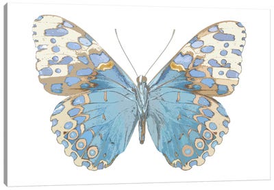 Butterfly With Indigo Canvas Art Print - Julia Bosco