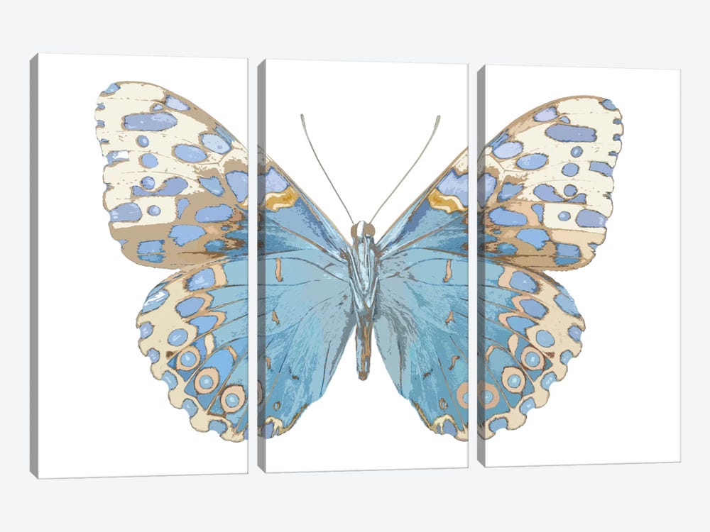 Butterfly With Indigo by Julia Bosco 3-piece Canvas Print