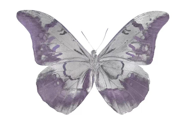 Butterfly In Amethyst I