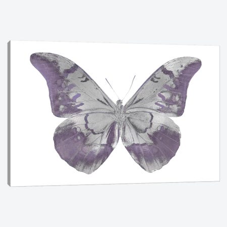 Butterfly In Amethyst I Canvas Print #JUL2} by Julia Bosco Canvas Artwork