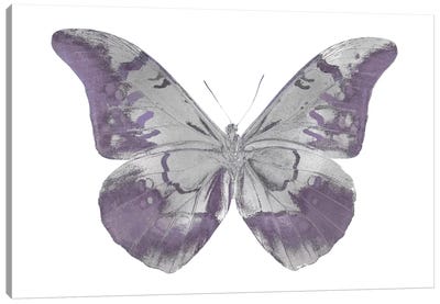 Butterfly In Amethyst I Canvas Art Print - Julia Bosco