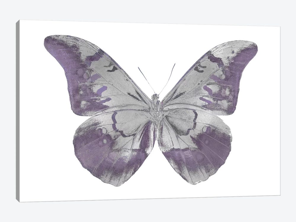 Butterfly In Amethyst I by Julia Bosco 1-piece Canvas Art Print