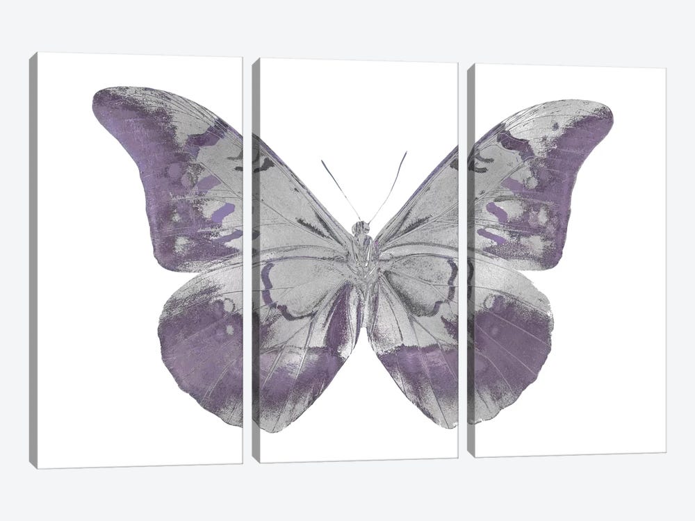 Butterfly In Amethyst I by Julia Bosco 3-piece Canvas Print
