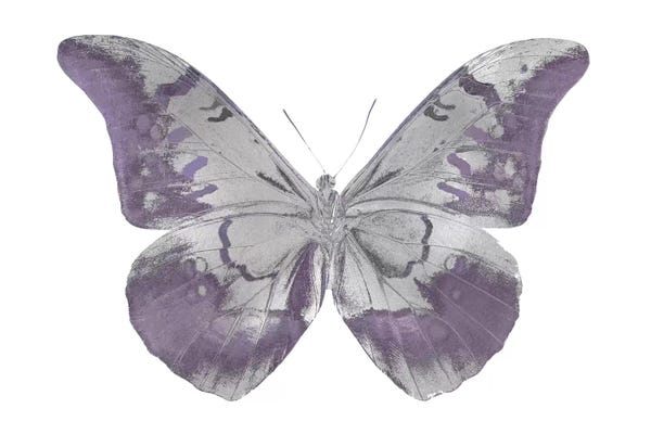 Butterflies: Butterfly In Amethyst I by Julia Bosco