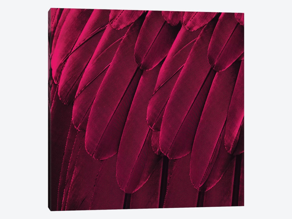 Feathered Friend In Magenta by Julia Bosco 1-piece Canvas Art Print