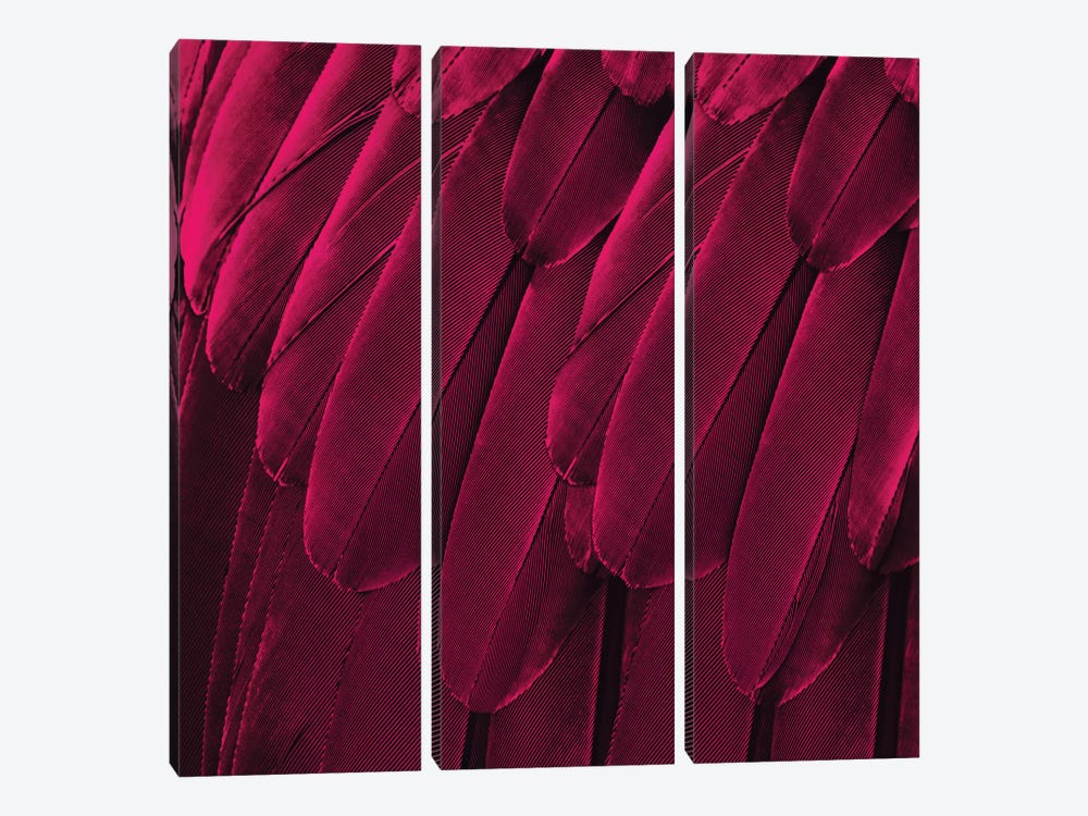 Feathered Friend In Magenta by Julia Bosco 3-piece Canvas Print