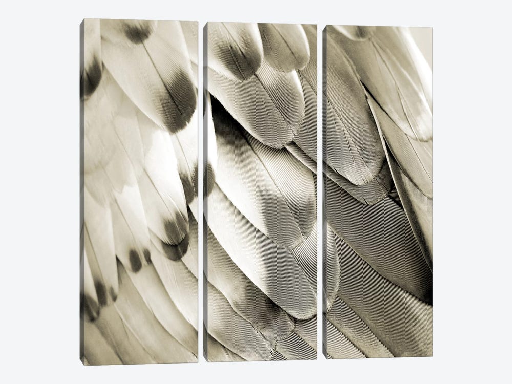 Feathered Friend In Pearl I by Julia Bosco 3-piece Canvas Artwork