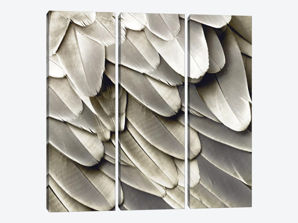 Feathered Friend In Pearl II by Julia Bosco 3-piece Art Print