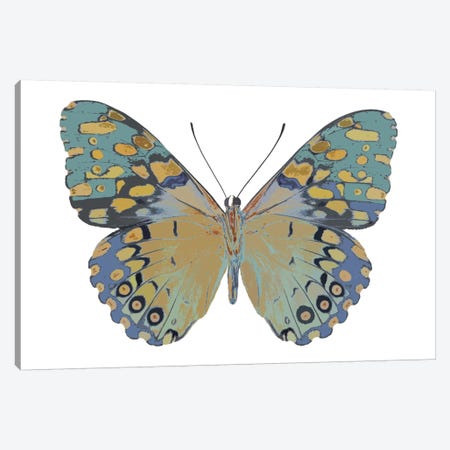 Butterfly In Amethyst II Canvas Print #JUL3} by Julia Bosco Canvas Art