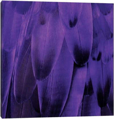 Feathered Friend In Purple Canvas Art Print - Julia Bosco