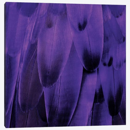 Feathered Friend In Purple Canvas Print #JUL40} by Julia Bosco Canvas Art Print