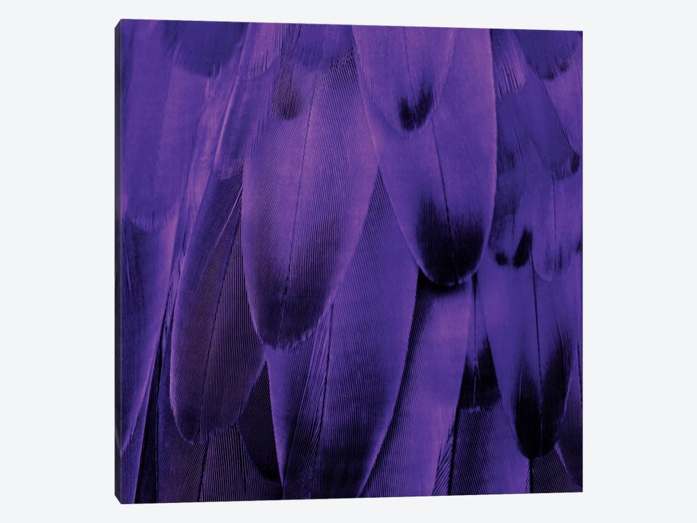 Feathered Friend In Purple by Julia Bosco 1-piece Art Print