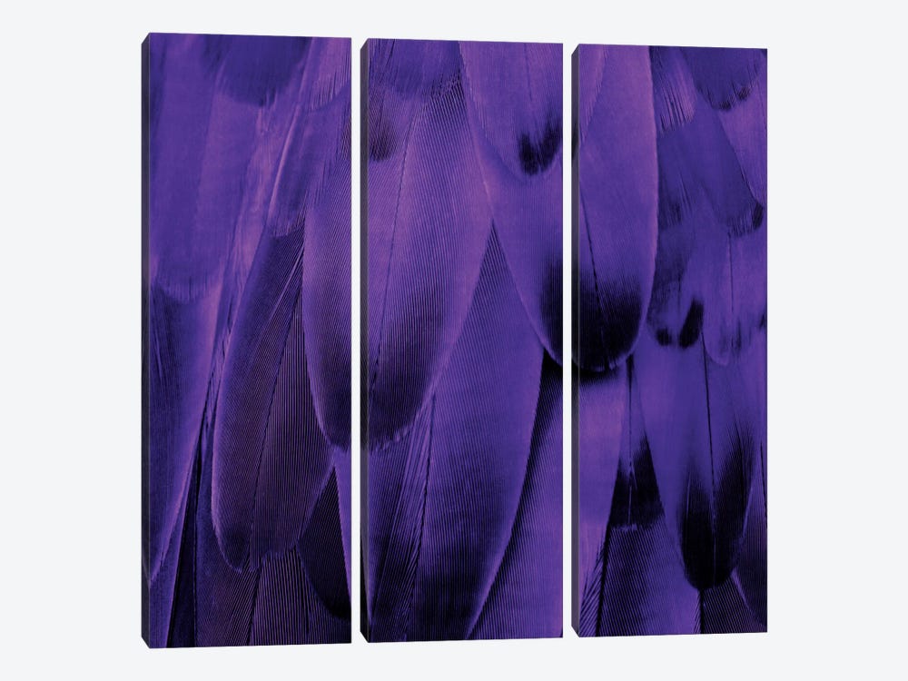 Feathered Friend In Purple by Julia Bosco 3-piece Art Print