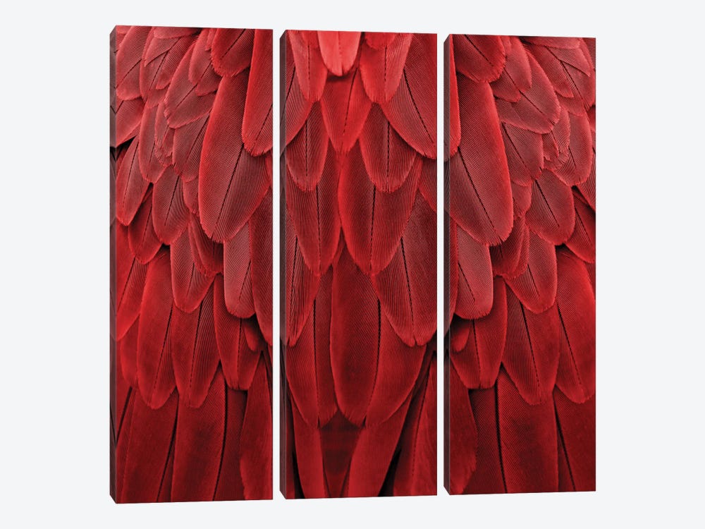 Feathered Friend In Red by Julia Bosco 3-piece Canvas Artwork