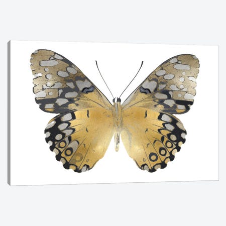 Golden Butterfly I Canvas Print #JUL42} by Julia Bosco Canvas Art Print