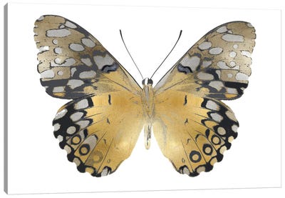 Golden Butterfly I Canvas Art Print - Heavy Metal