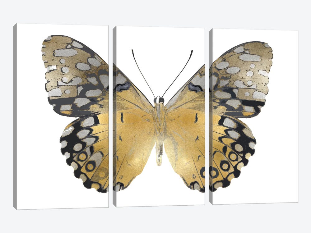 Golden Butterfly I by Julia Bosco 3-piece Canvas Art Print