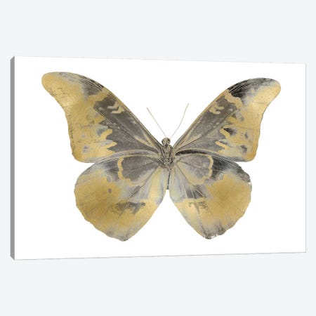 Golden Butterfly II Canvas Print #JUL43} by Julia Bosco Canvas Art Print