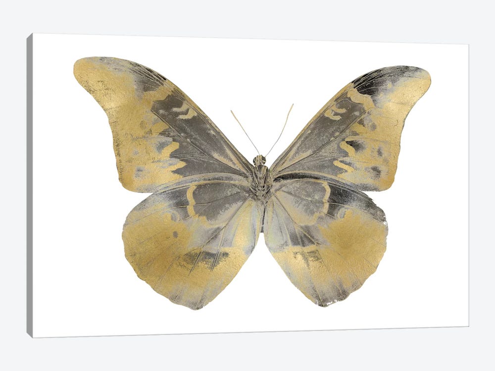 Golden Butterfly II by Julia Bosco 1-piece Canvas Artwork