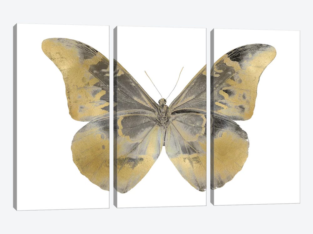 Golden Butterfly II by Julia Bosco 3-piece Canvas Art