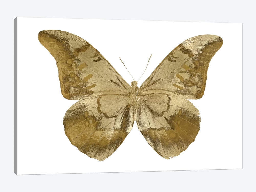 Golden Butterfly III by Julia Bosco 1-piece Art Print
