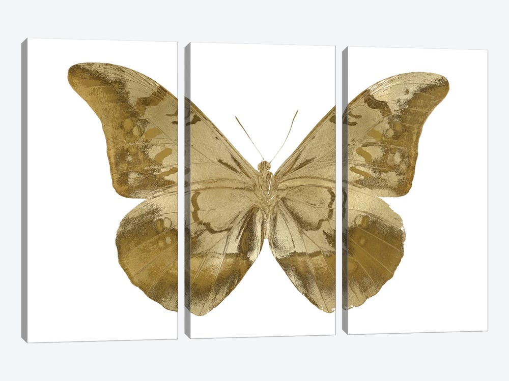Golden Butterfly III by Julia Bosco 3-piece Canvas Art Print