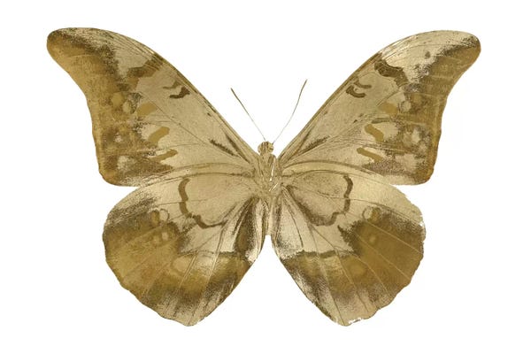 Gold & White: Golden Butterfly III by Julia Bosco
