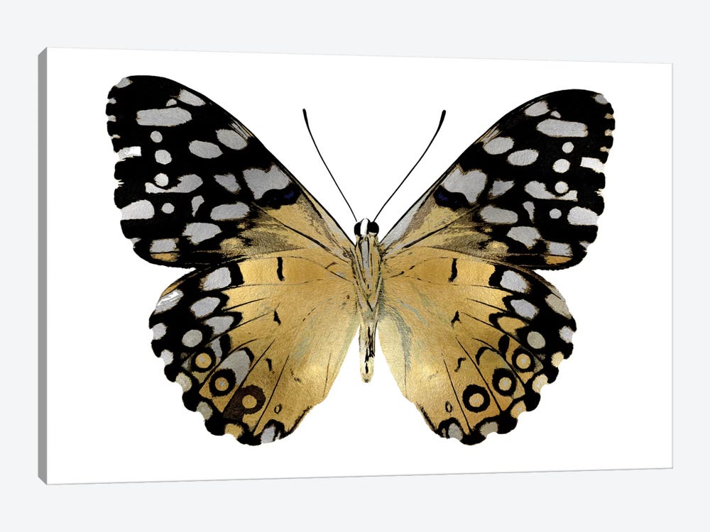 Golden Butterfly IV by Julia Bosco 1-piece Canvas Art