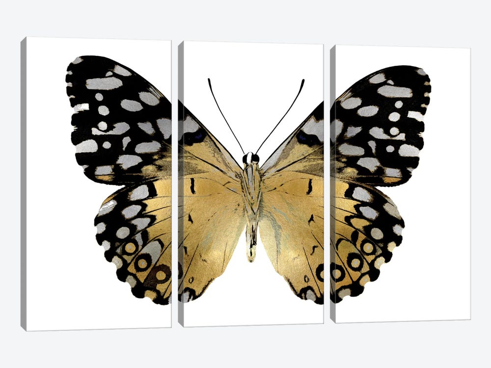 Golden Butterfly IV by Julia Bosco 3-piece Canvas Wall Art