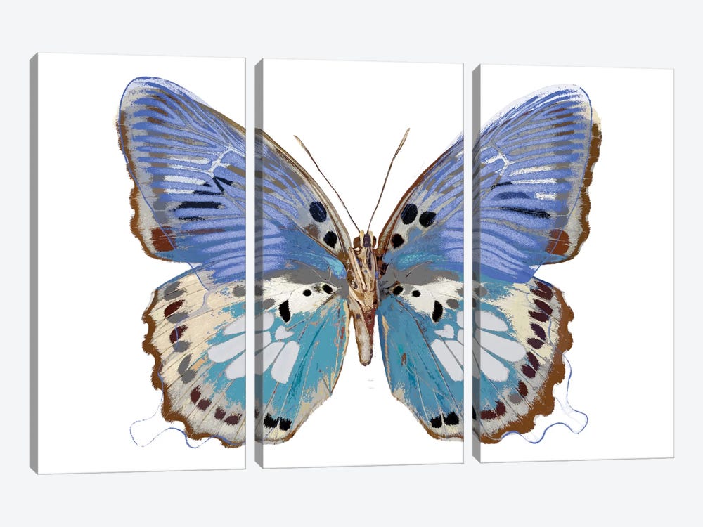 Golden Butterfly V by Julia Bosco 3-piece Canvas Print