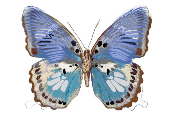 Golden Butterfly V