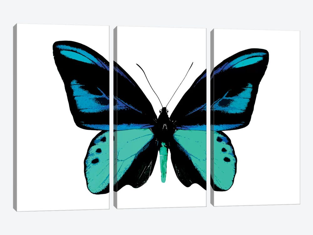 Vibrant Butterfly I by Julia Bosco 3-piece Canvas Artwork