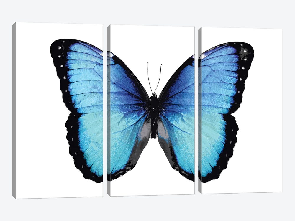 Vibrant Butterfly II by Julia Bosco 3-piece Canvas Art Print