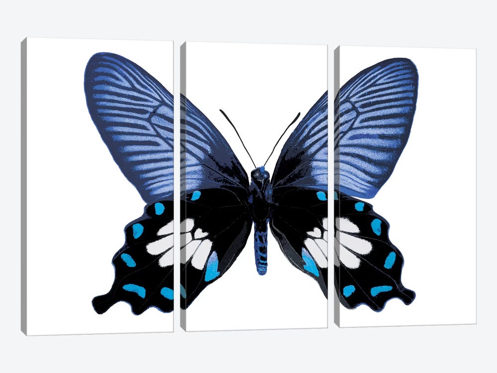 Vibrant Butterfly III by Julia Bosco 3-piece Canvas Artwork