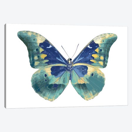 Butterfly In Aqua I Canvas Print #JUL4} by Julia Bosco Art Print