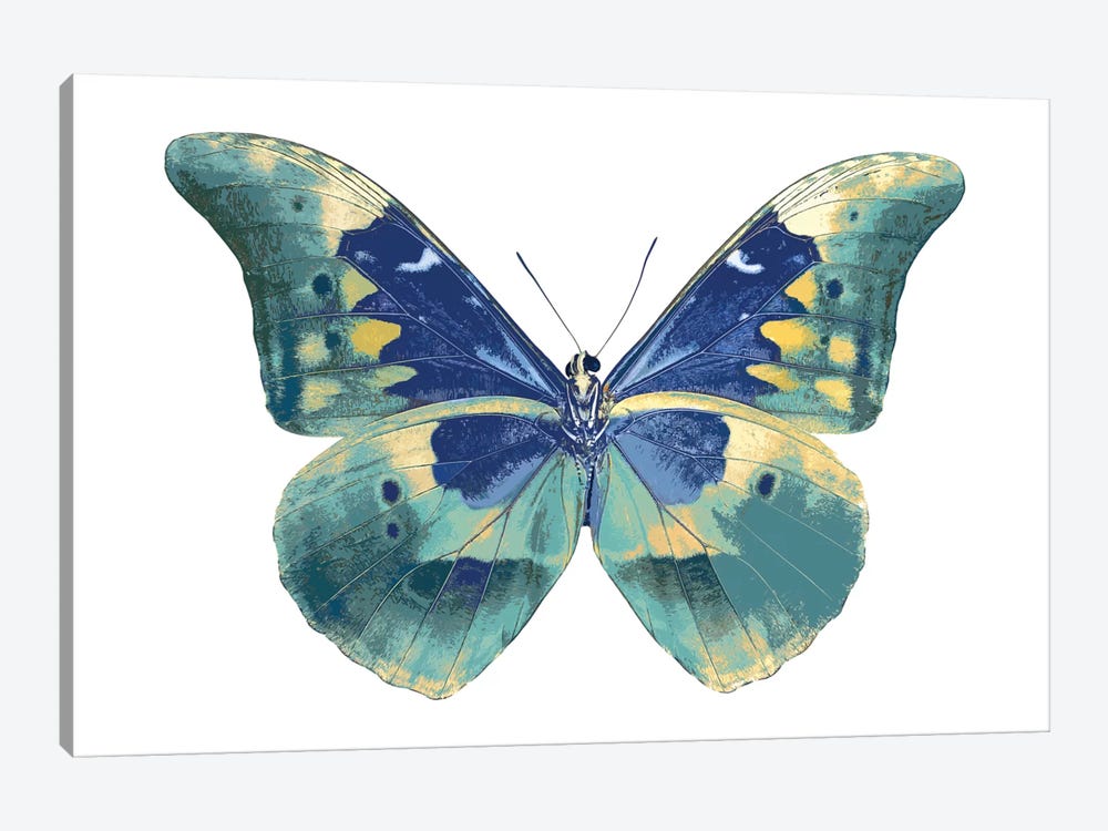 Butterfly In Aqua I by Julia Bosco 1-piece Art Print