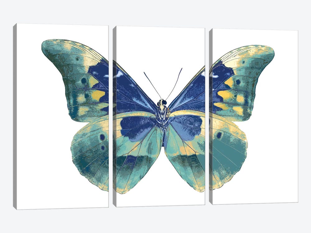 Butterfly In Aqua I by Julia Bosco 3-piece Canvas Art Print