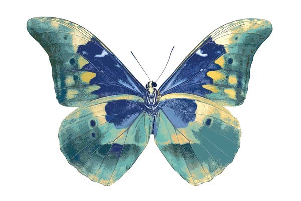 Butterflies: Butterfly In Aqua I by Julia Bosco