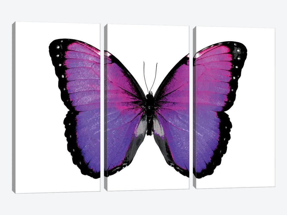 Vibrant Butterfly IV by Julia Bosco 3-piece Canvas Wall Art