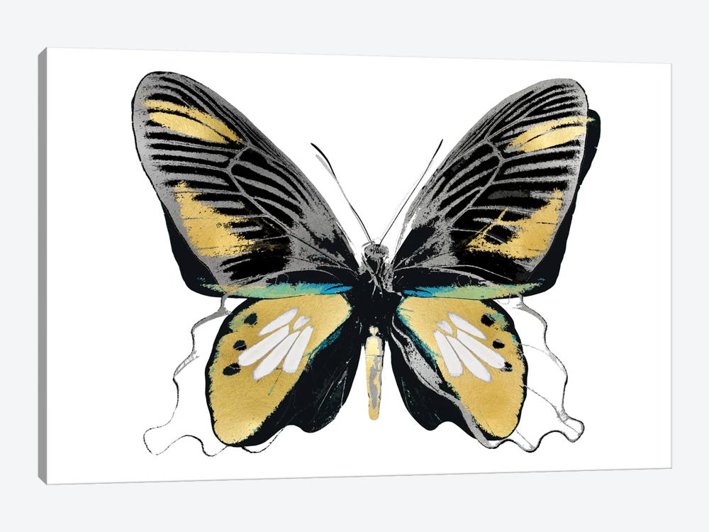 Vibrant Butterfly VI by Julia Bosco 1-piece Canvas Print
